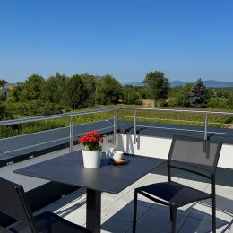 Der Ausblick auf die Region Denzlingen von der Terrasse aus.